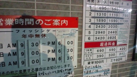 ppgfmh82kznpkhvucu3v_480_480-e4cffadb.jpg