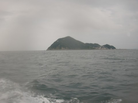 ppitwjg7ibdrm483f6yn_480_480-397e3c56.jpg
