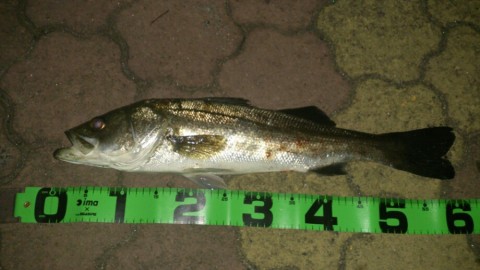 ppzdryhuuctdictyrz29_920_517-df0f954c.jpg