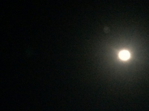 pr4ghhu67fhywvde4j3e_480_480-5e675b75.jpg