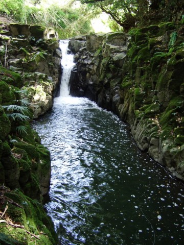 pr8siswcuyns2eeh9j9c_480_480-292f1cf3.jpg