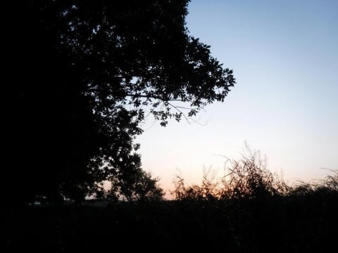 praea28twe5xbo2jhp6r_480_480-e2422963.jpg