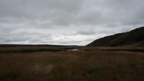 prgiekb8drerhu6vf9vb_480_480-60cb89ef.jpg