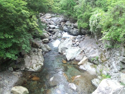 prho7i9godcgmuj37dxp_920_690-d4b622ee.jpg