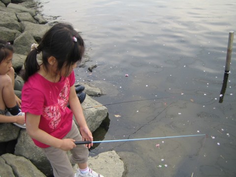 prjx78a3y8gugngeafaw_480_480-92ef1828.jpg