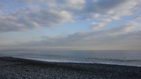 prmsn7cpxrhuxduzk4v7_480_480-30c042a6.jpg