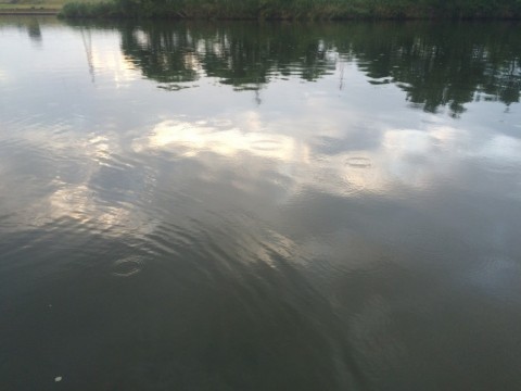 prphbfkr4d426edxwe3w_480_480-4638c0fa.jpg