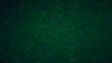 prtcioy99fgh8furpj8k_480_480-621ca121.jpg