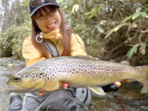 prtx9uho685w9u67askc_480_480-f0620d11.jpg
