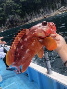 psa5gacebu539bpmpvyj_361_480-d072b9a2.jpg