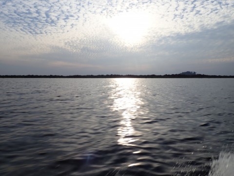 psanw877rxdoajatvn5j_480_480-272e69bf.jpg