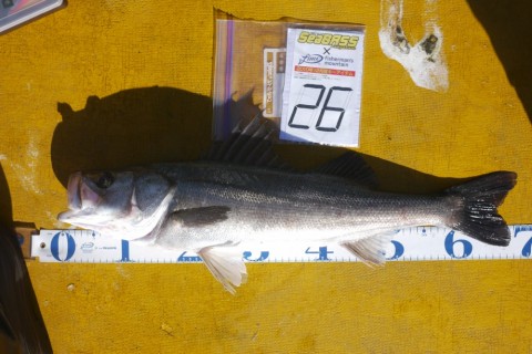 psboP6sRPeZRukwke3bS_480_480-228e6c82.jpg
