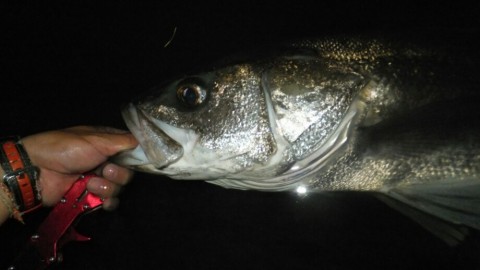 psj95ua9iyh68mkbc7hs_920_518-7e252734.jpg