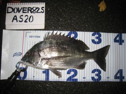 pso7jrv99zmhg6mgdmo9_480_480-8cb29e6e.jpg