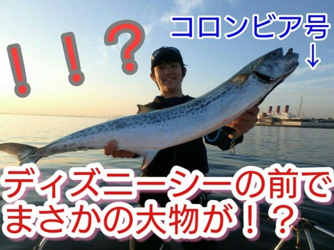 psxcyk4gaimumo2a7547_480_480-a7055a96.jpg