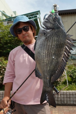 psy8ohzcd4guz6oxz42t_480_480-b2674021.jpg