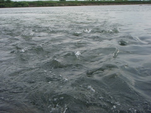 pt8mb4i2dbyii6kh2kck_480_480-e8963423.jpg