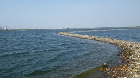 ptjkhhvwxor8kksebofx_480_480-83e853b9.jpg