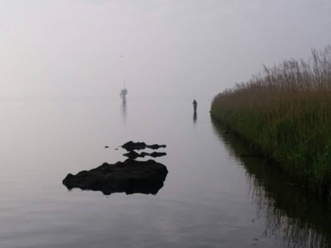 ptwa6d3666ni37rourbf_480_480-9e11d743.jpg
