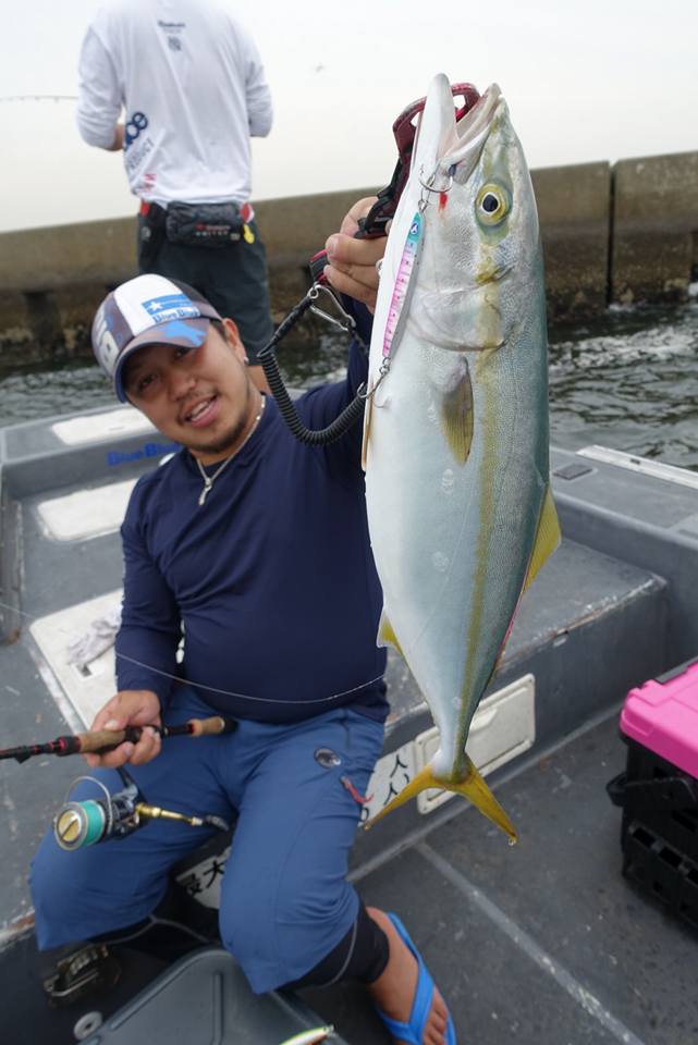 Blueblue 東京湾奥青物襲来中 Blueblue 東京湾奥青物襲来中