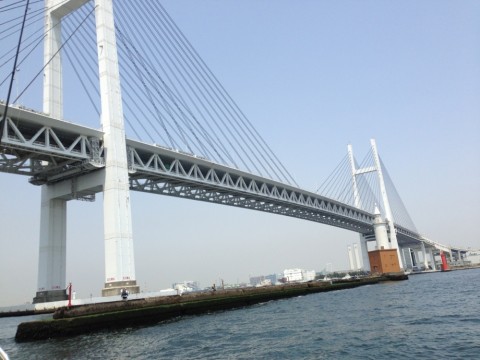pu48s5mkj7pd978d8wh2_920_690-40148592.jpg