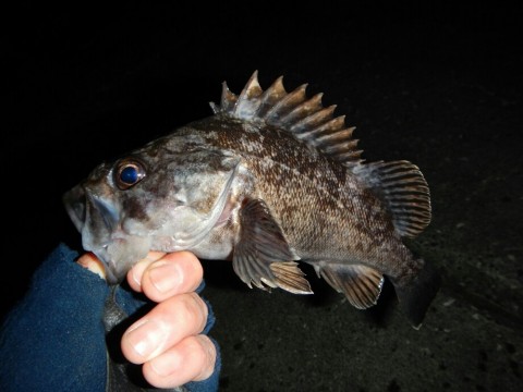 pu5d6rux4wmriinccxdr_920_690-7d9dd3c8.jpg