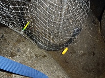 pub86ghja6fz52f8f965-eec40493.jpg