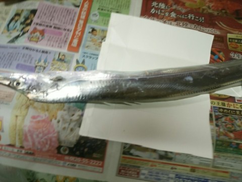 pukbyuhrwjrzeyjudyre_920_690-c26dbc4a.jpg