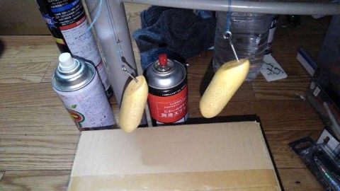 pus4eki22c6rebfhyr6p_480_480-78055bc7.jpg