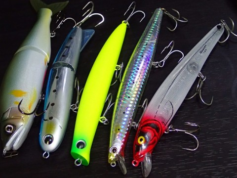 putiok9itj35eiwv2fjo_480_480-2776d3f7.jpg