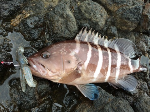 puvik9kofuu2d9nstcho_920_690-77ac0b80.jpg