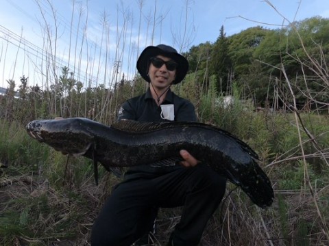 pv59y59dzsxns78rpfx6_480_360-a8964407.jpg