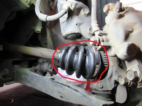 pv673v9sae9xvf4nf47o_480_480-1f51946a.jpg