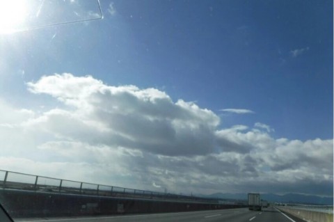 pv8y25rimn3xfzxmay46_920_612-46034cc8.jpg