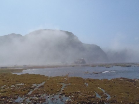 pvbntgs5xzc45kfk3k4c_480_480-38381e0f.jpg