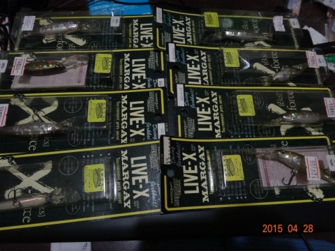pvgfcxkzpzxx5pgdv9o9_480_480-ddf2092a.jpg