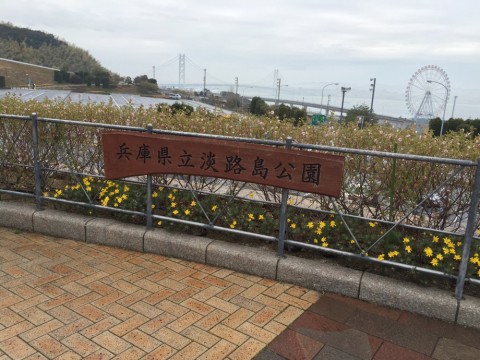 pvyrftmfdzcxc4yrh5vh_920_690-6165d7c6.jpg