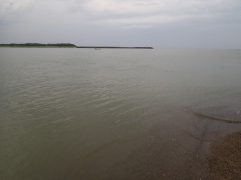 pwpp8zia75np476i843d_480_480-3b03ae46.jpg