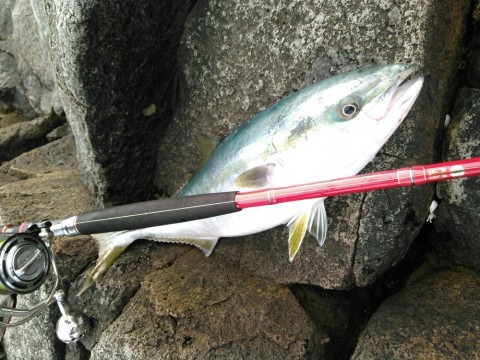 px377va9ywbzx5tng279_920_690-ebd337d8.jpg