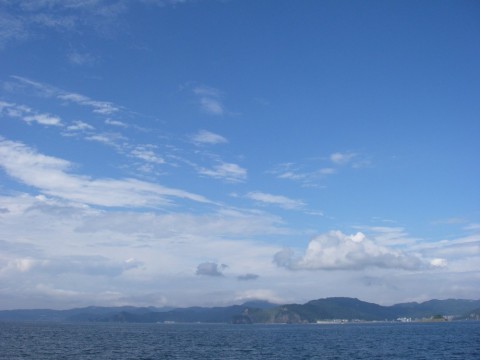 px395udmtk8ykkhbkkog_480_480-447a1272.jpg