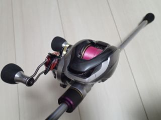 px58p6z2dvstdp854f8s-cd026d17.jpg