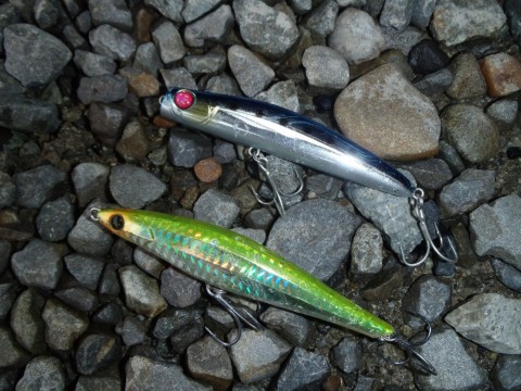 px5benj5was6utnv2822_480_480-1fdad4df.jpg