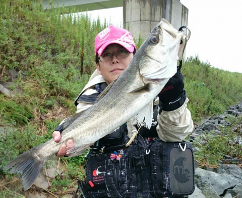 py54atz457sc5dbnomvd_920_756-0dd5b872.jpg