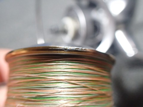 py62r7uga7a4hycgsceg_480_480-404393be.jpg