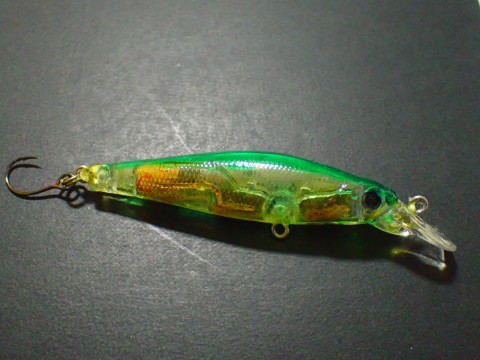 pychk2ed9m5i5pfrw7yu_480_480-026dfa0b.jpg
