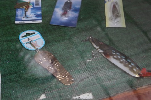 pym2sjamyg5nhiwrrycv_480_480-0018bb7e.jpg