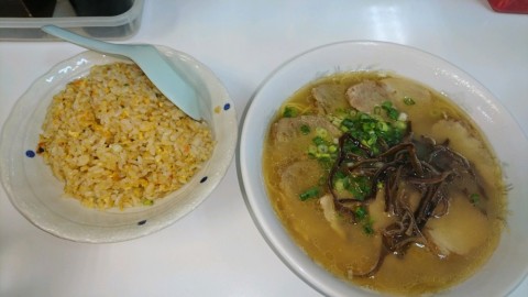 pyws9e8a7fdni6nzkd7a_480_480-b7dc3d42.jpg