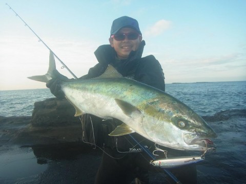 pyxg7ik4mhvtgou7defc_480_480-2da102cc.jpg
