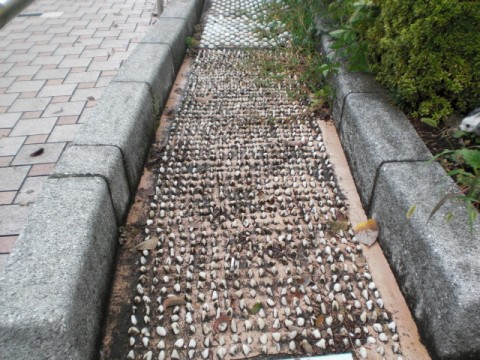 pz5pxs4xa8eahgif5i37_480_480-b8fbab5c.jpg
