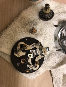 pz74cm3xth2tuk8sp42e_361_480-908dddfe.jpg